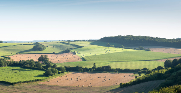 location de mini vans hauts de france